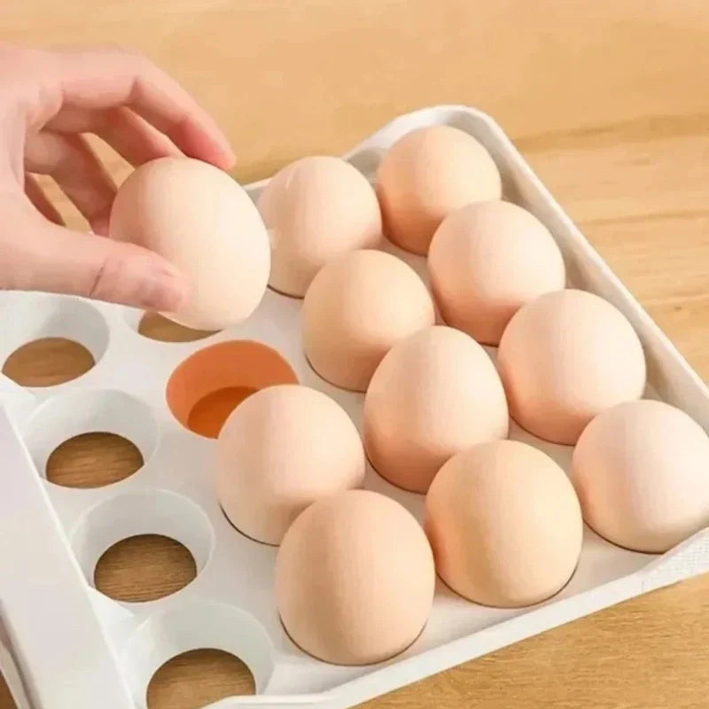 organizador-de-ovos-com-tampa-protetora-luci-express2