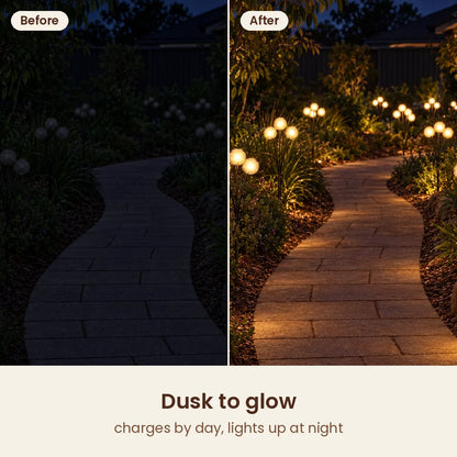 Garden path before and after HiLuci Dandelion Lights